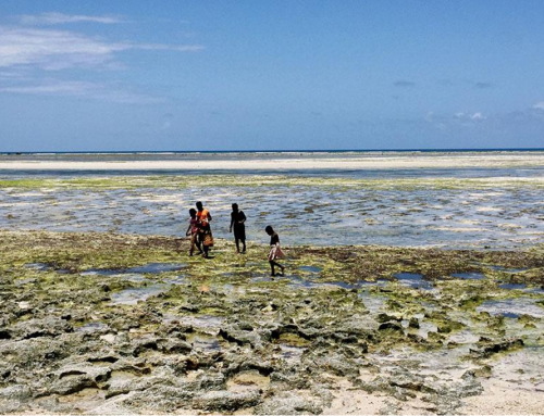 Moçambique, terra das crianças risonhas e das capulanas coloridas
